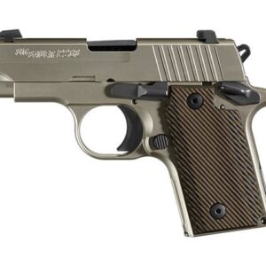 Sig Sauer P238 Nickel 380 ACP Carry Conceal Pistol with Night Sights