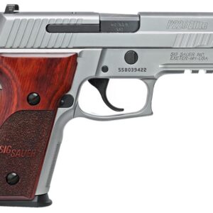 Sig Sauer P226 Stainless Elite 40 S&W Full-Size Pistol with Night Sights