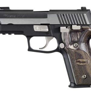 Sig Sauer P229 Equinox 40 S&W Centerfire Pistol with Nickel Accents