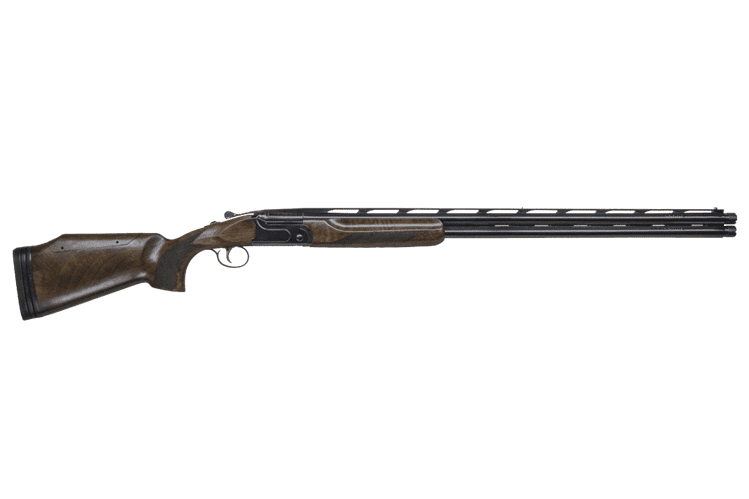 CZ All-American