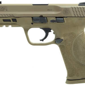 Smith & Wesson M&P9 M2.0 9mm Flat Dark Earth (FDE) Centerfire Pistol with TruGlo TFX Sights