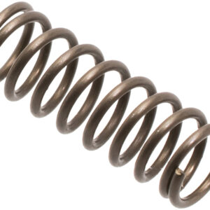 Spring, Bolt Catch, AR15