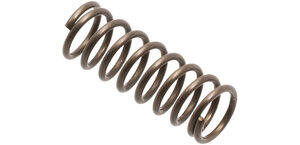 Spring, Bolt Catch, AR15