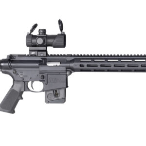 Smith & Wesson M&P15-22 Sport OR 22LR with MP-100 Red/Green Dot Optic (10-Round Model)